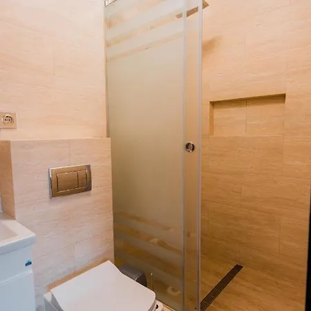 готель-ресторан каміла * Polyana (Transcarpathia)