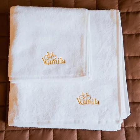 готель-ресторан каміла Hotel *