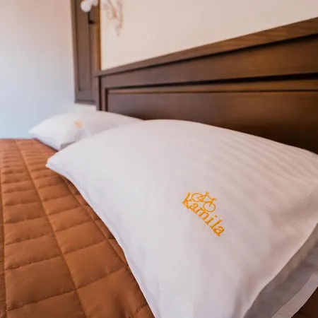 готель-ресторан каміла Hotel