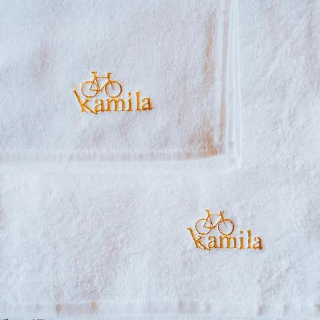 Hotel готель-ресторан каміла *