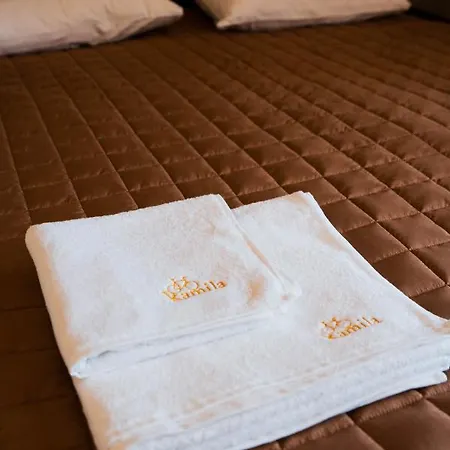 Hotel готель-ресторан каміла *