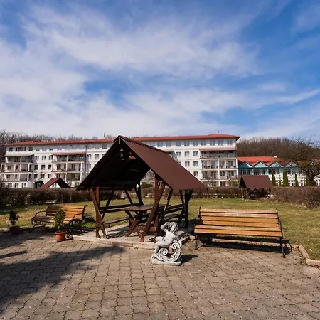 готель-ресторан каміла * Polyana (Transcarpathia)