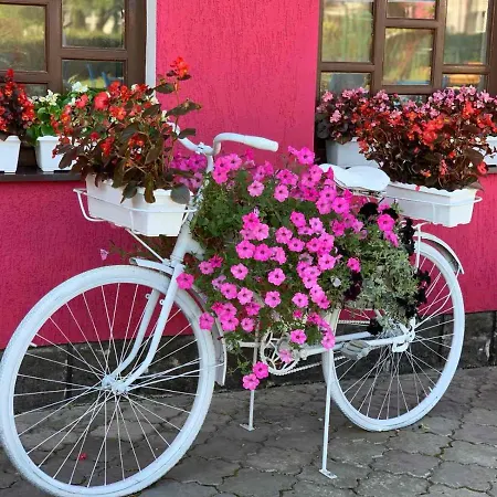 Hotel готель-ресторан каміла *