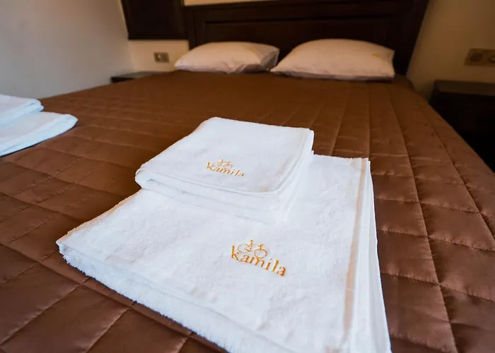 Hotel готель-ресторан каміла *