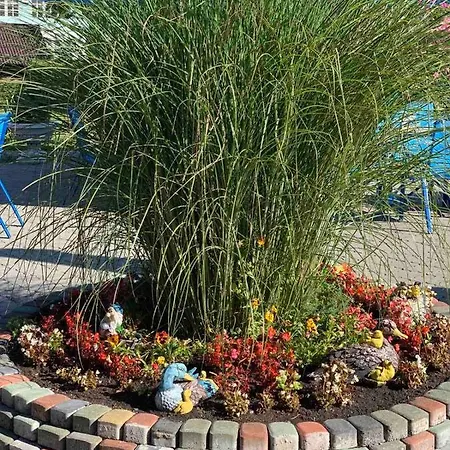 готель-ресторан каміла *