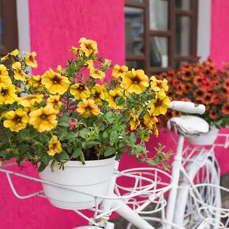 готель-ресторан каміла Otel Polyana (Transcarpathia)