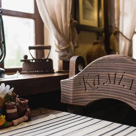 Otel готель-ресторан каміла