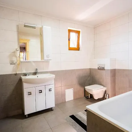 Otel готель-ресторан каміла Polyana (Transcarpathia)