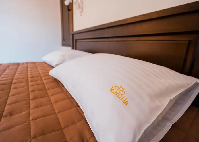 готель-ресторан каміла Hotel