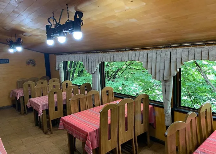 Hotel готель-ресторан каміла *